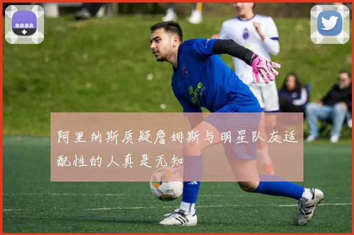 阿里纳斯质疑詹姆斯与明星队友适配性的人真是无知